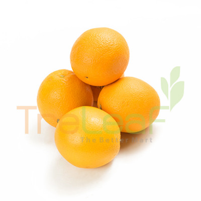 FRUIT SUNKIST VALENCIA 113-(6 BIJI)