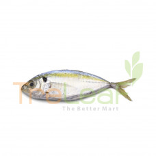 FRESH IKAN SELAR KUNING