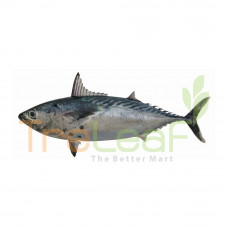 FRESH IKAN AYA KURIK