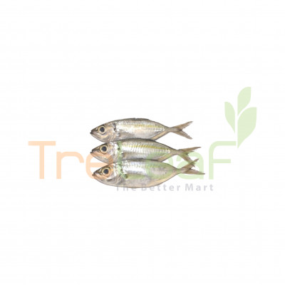02-FRESH IKAN LOLONG