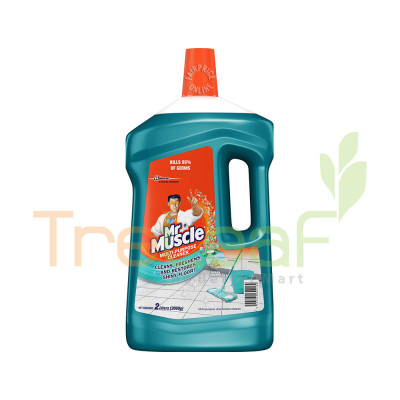 KIWI KLEEN MR MUSCLE FLOOR CLEANER OCEAN ESCPAPE (2LX6) NEW 692744