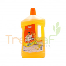 KIWI KLEEN MR MUSCLE FLOOR CLEANER LEMON (2LX6) NEW 692559
