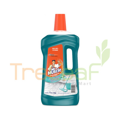 KIWI KLEEN MR MUSCLE FLOOR CLEANER OCEAN ESCAPE (1LX12) NEW 692745