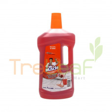 KIWI KLEEN MR MUSCLE FLOOR CLEANER I LOVE U (1LX12) NEW 692236