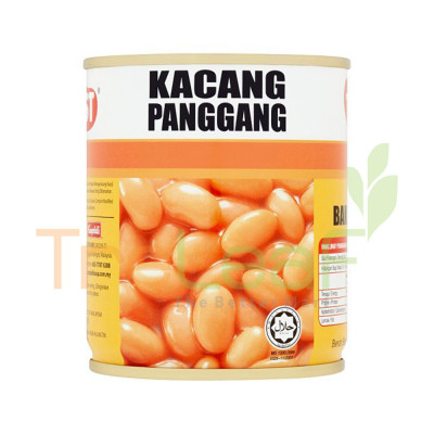 TST BAKED BEANS IN TOMATO SAUCE (230GX24)
