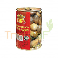 REX STRAW MUSHROOM (425GMX24)